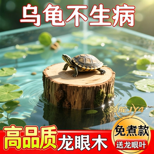 天然龙眼木乌龟晒台爬台