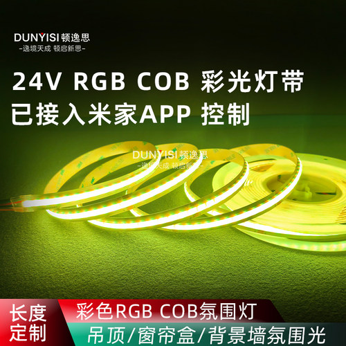 RGBCOB渐变24V七彩色语音氛围灯