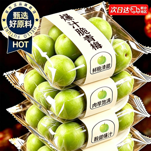 爽口脆青梅独立小包装青梅酸脆凉果蜜饯果脯解馋休闲办公开胃零食