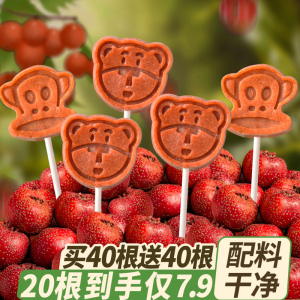 网红小熊山楂棒棒糖儿零食条独小包装宝宝童休闲食品小吃健康营养