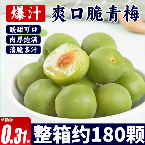 爽口脆青梅独立小包青口梅