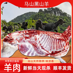 广西马山黑山羊精选农家放养新鲜宰杀带皮踢骨山羊肉羊雪花羊腿肉