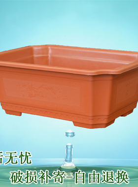 一个装长方型盆景花盆塑料迷你仿真大榕树黄杨老桩种菜金枝玉叶种