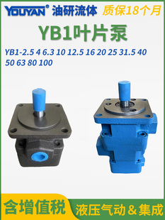 100 YB1 2.5液压4油泵6.3叶片泵10