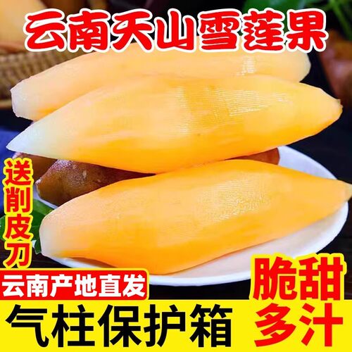 现货速发雪莲果精选好果子