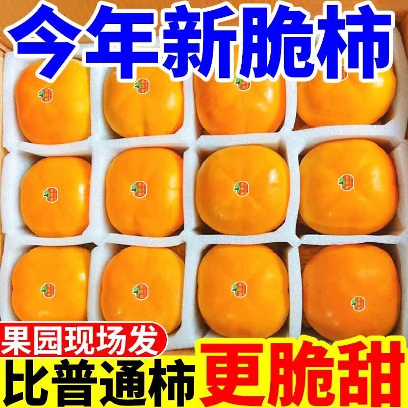 现摘新鲜巧克力脆柿子硬柿子脆甜冰糖心火晶柿子当季水果整箱批发