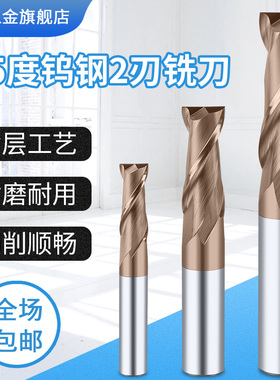 XET钨钢铣刀55度2刃硬质合金键槽铣刀CNC数控车刀加工中心M1-M25