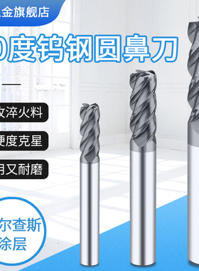 XET70度4刃圆鼻刀高硬度合金铣刀加长加工中心钨钢铣刀牛鼻刀数控