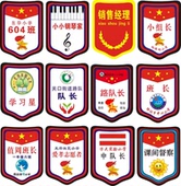 定制袖 标订做小学生班干部DIY加学校名称logo 章臂章徽章定做袖