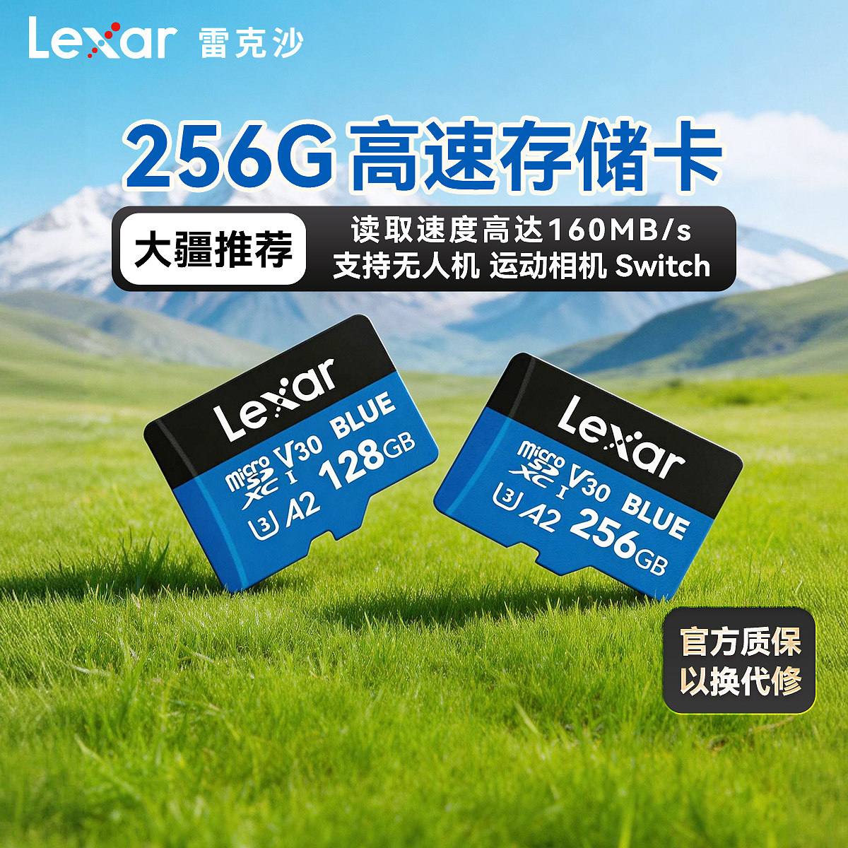 雷克沙tf卡256G掌机switch游戏机内存卡SteamDeck掌机高速存储卡