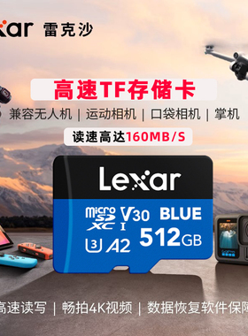 雷克沙tf卡256g游戏掌机存储卡switch内存卡NS监控平板高速内存卡