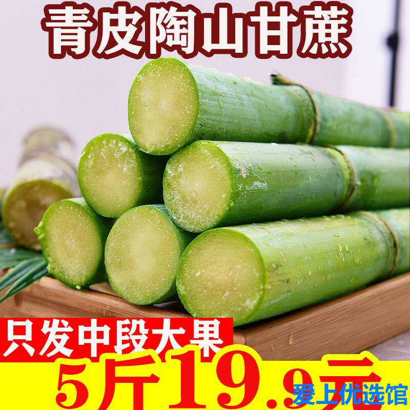 2020新货陶山甘蔗 青皮绿皮甘蔗孕妇新鲜水果应季当季整箱5斤非黑|ruв категории водной мясо/свежие фрукты и овощи/еда, свежие фрукты, другие - от Buy2taobao.com для оказания профессиональной услуги покупки агента Taobao