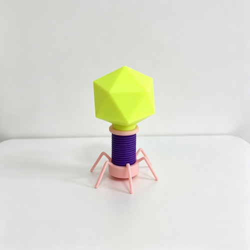 3D打印噬菌体生物医学教学模型