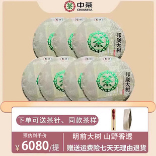 中茶 大树春茶 357g 7饼 整提装 2018年邦崴大树普洱茶生茶