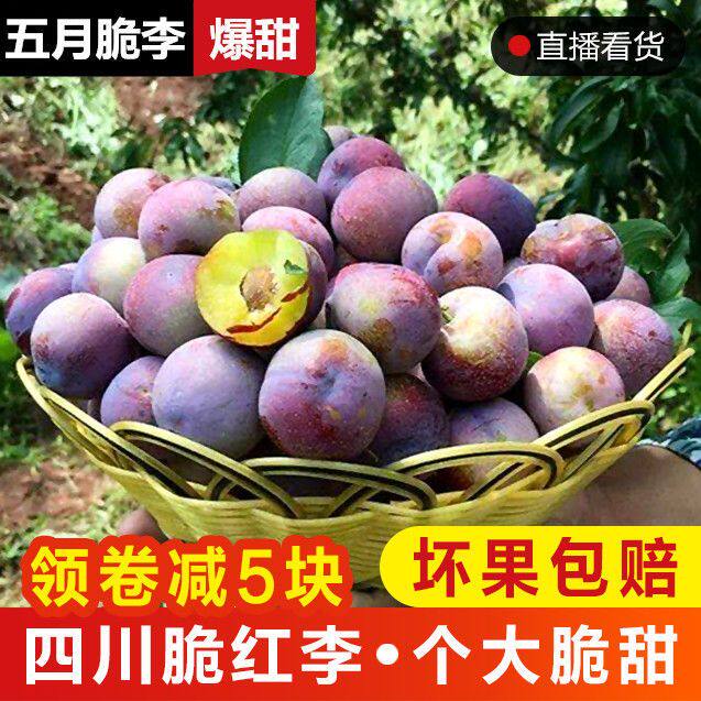 四川李子五月脆甜茵红李新鲜孕妇水果当季半边红空心脱骨青脆红李