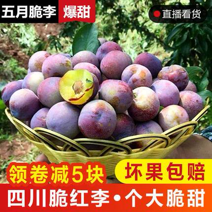 四川李子五月脆甜茵红李新鲜孕妇水果当季半边红空心脱骨青脆红李