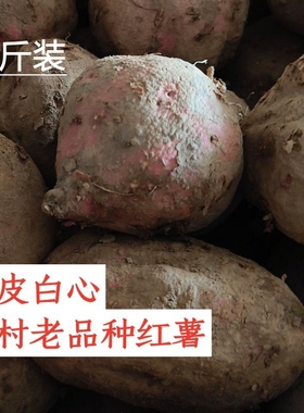 重庆农家自种老品种白心红薯新鲜到家番薯四川红苕香甜软糯大地瓜