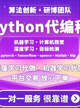 python代编程深度学习代做代码指导调试算法改进模型创新程序跑通