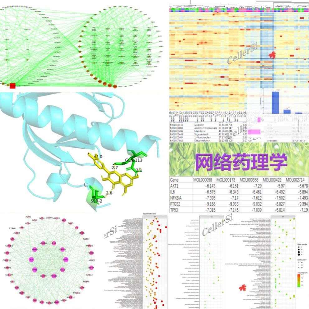 生信分析网络药理学生物学服务单细胞测序转录组TCGA/GEO数据挖掘