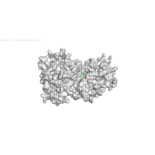 分子对接分子动力学模拟Autodock分子对接PyMOL可视化