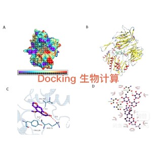 表面等离子共振SPR MST ITC BLI亲和力实验,分子动力学分子对接