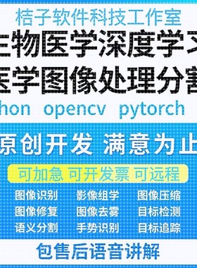 Python代编医学图像分割深度学习语义分割计算机视觉生成对抗网络