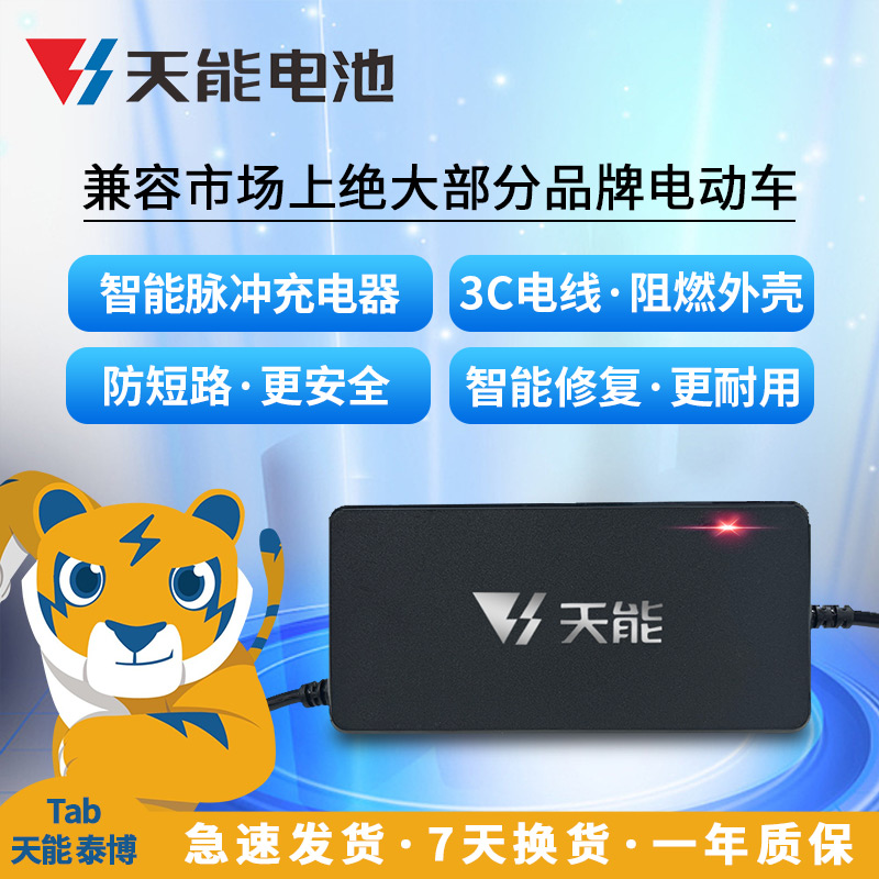 天能电动车充电器雅迪爱玛