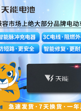 天能智能电动车充电器48V60V20AH72v20V96V爱玛雅迪电瓶车充电器