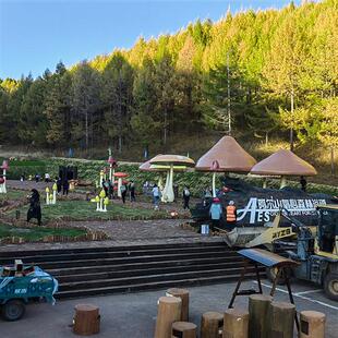 饰蘑菇屋造型雕塑 承接大型玻璃钢蘑菇雕塑摆件户外园林公园景观装