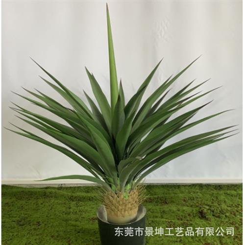 仿真剑麻仿真绿植剑麻盆栽工厂各种假绿植盆景仿真剑兰树装饰