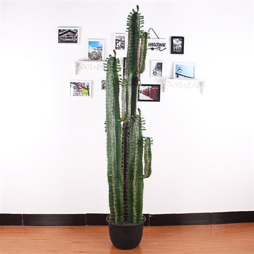 仿真仙人掌仙人球热带仙人柱绿植盆景室内装饰摆设盆栽厂家直销
