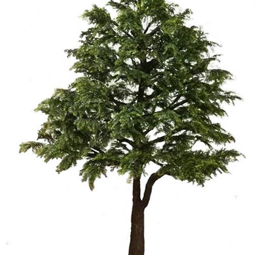 供应仿真树仿真柏树外贸受欢迎装饰植物