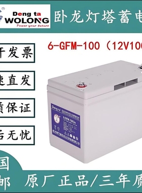 灯塔蓄电池6-GFMF-165高低压配电 消防弱电设备 12V165AH