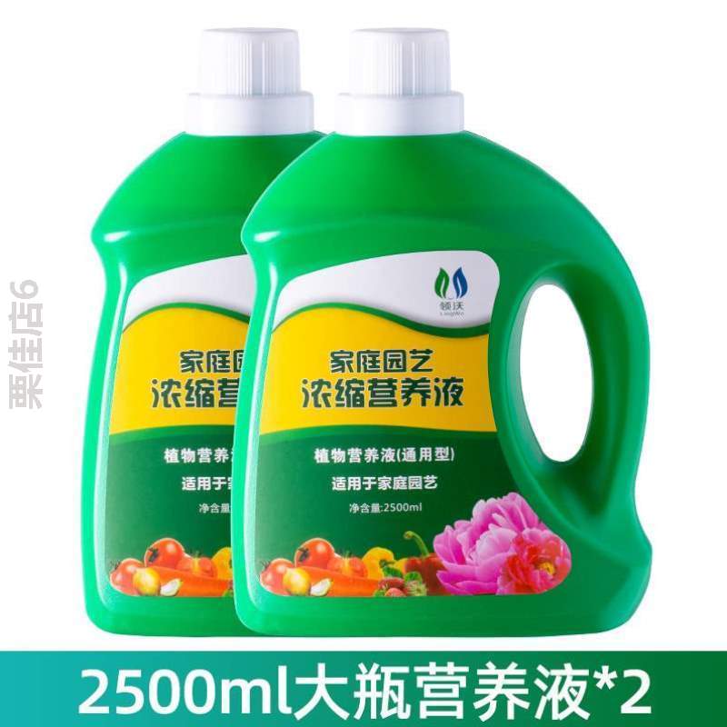 通用型绿萝植物绿植花店庭院急救兰花培养&肥料散尾葵营养液竹子