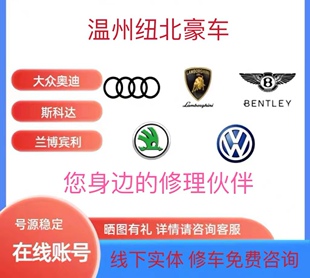 奥迪大众VAS5054A远程协助在线匹配解保护电脑升级编程技术支持