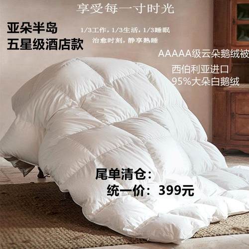亚朵半岛95白鹅绒冬被双人空调被春秋被抗菌加厚保暖羽绒被芯冬季
