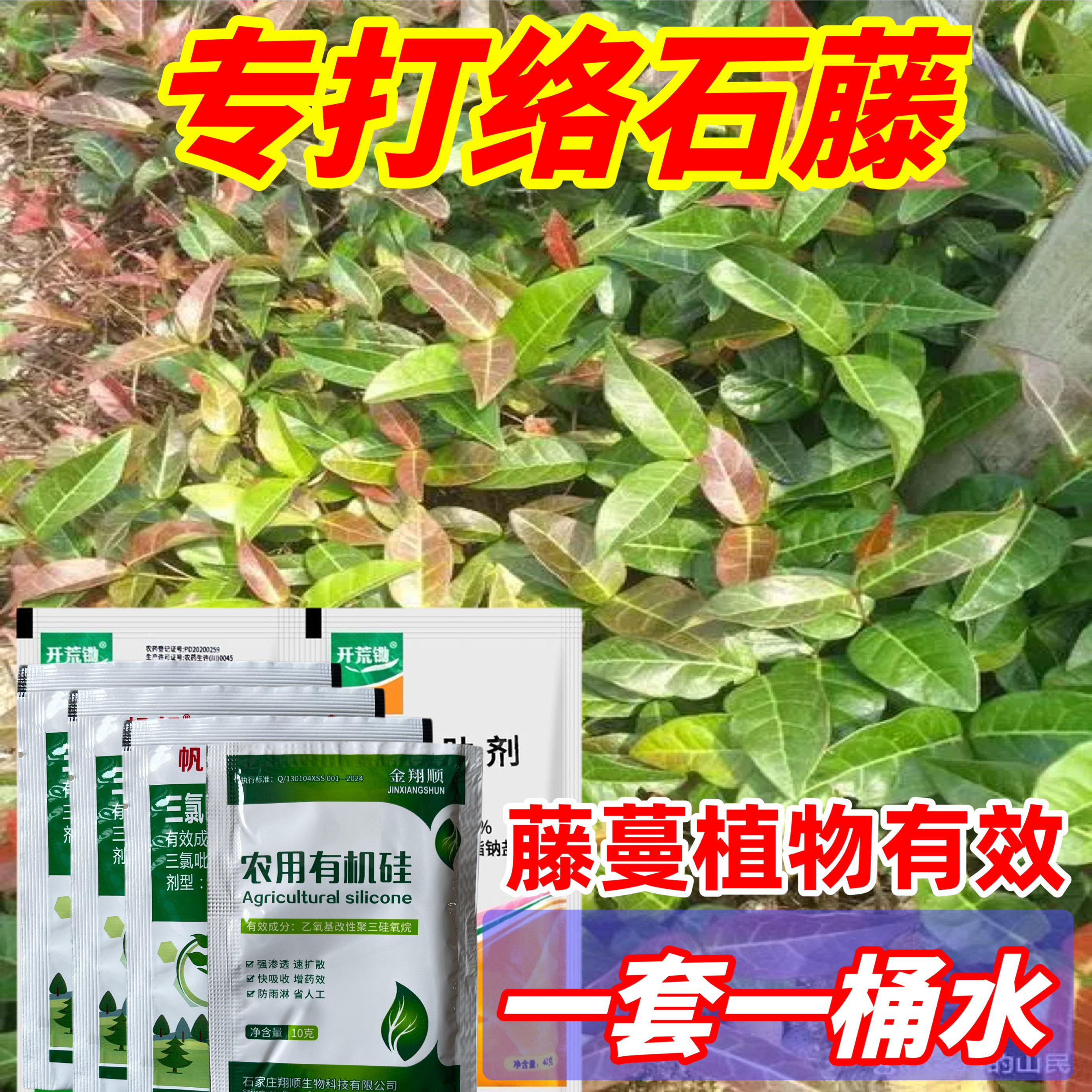络石藤除草剂藤类杂草葛藤绿草爬山虎根药拉拉秧构藤蔓植物除草剂