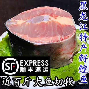 鲟鳇鱼整条鲟鱼黑龙江抚远特产鳇鱼段鱼块鲜活现切速冻七里浮子