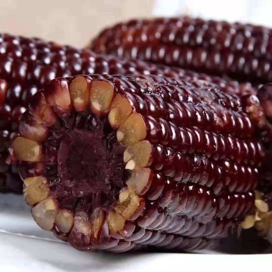 黑糯玉米2袋装，非真空包装（超甜，每袋6-8棒）