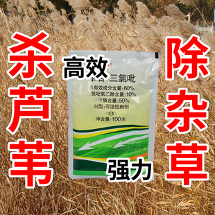 芦苇长效除草剂草甘磷一扫光强力灭生除草神剂阔叶果园除草烂根剂