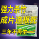 烂根 除竹子药灭竹子专剂 速效 除竹子剂 正品 杀竹子除杂竹杂竹净
