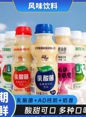 乳酸菌益生菌批发整箱代早餐营养牛奶酸奶风味餐饮婚宴席包邮饮料