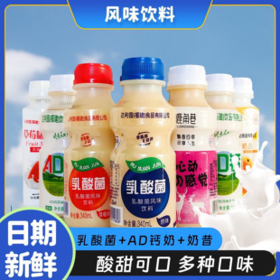 乳酸菌益生菌批发整箱代早餐营养牛奶酸奶风味餐饮婚宴席包邮饮料