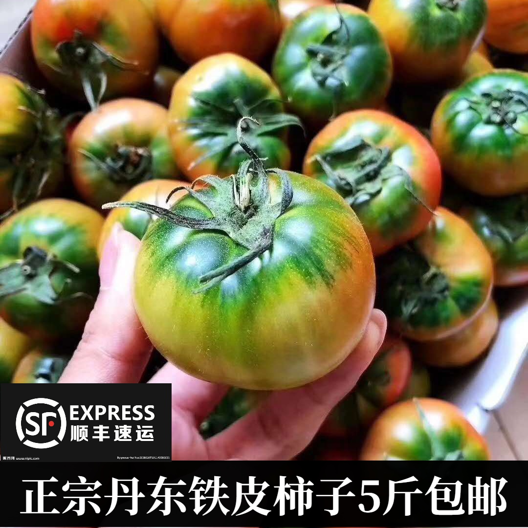 丹东铁皮番茄绿腚柿子西红柿