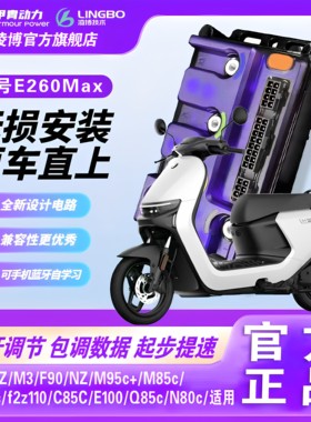 九号直上凌博E260Max控制器M95 Mz N385c F90 NZ直上可调控制器