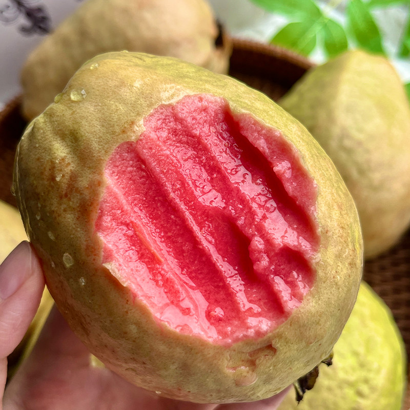 潮汕奶油芭乐红白心双拼3/5斤 香甜树熟芭乐 丝滑细腻收货即食,水产肉类/新鲜蔬果/熟食,番石榴/芭乐,淘宝优惠券,粉丝福利购,淘宝优惠卷