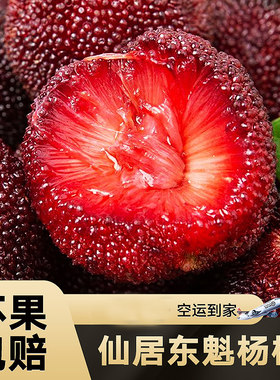 仙居东魁杨梅肉厚多汁树熟自然甜