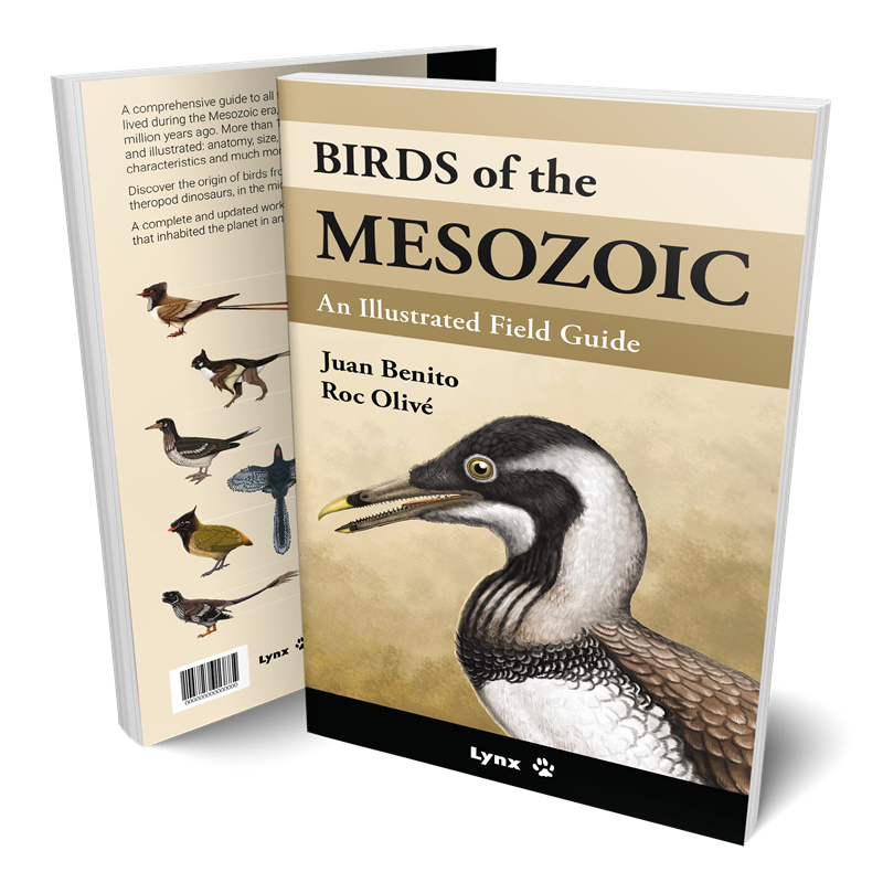 中生代鸟类中生代鸟类