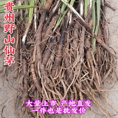 贵州省草药材仙茅根独脚棕角仙矛