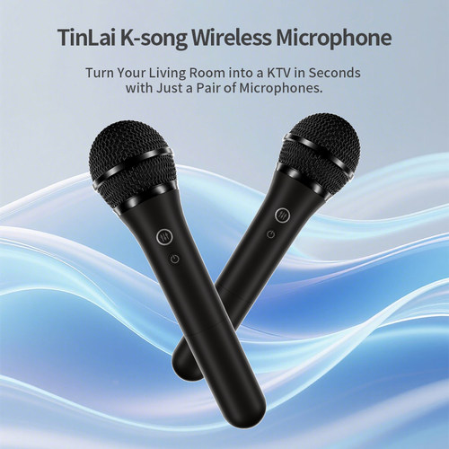 MG-9D2 Wireless Karaoke Mic for TV, One-Key Vocal Removal